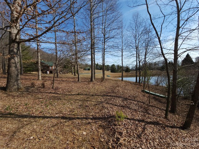 LOT77 Three Bridges Dr, Columbus, NC 28722 - photo 10