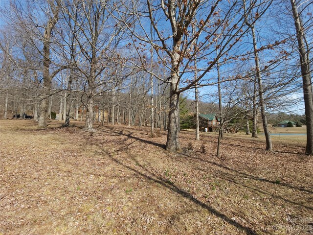 LOT77 Three Bridges Dr, Columbus, NC 28722 - photo 12