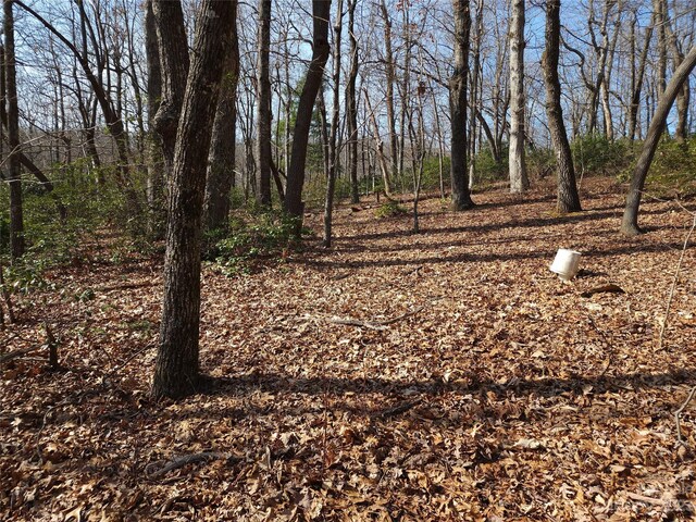 LOT77 Three Bridges Dr, Columbus, NC 28722 - photo 13