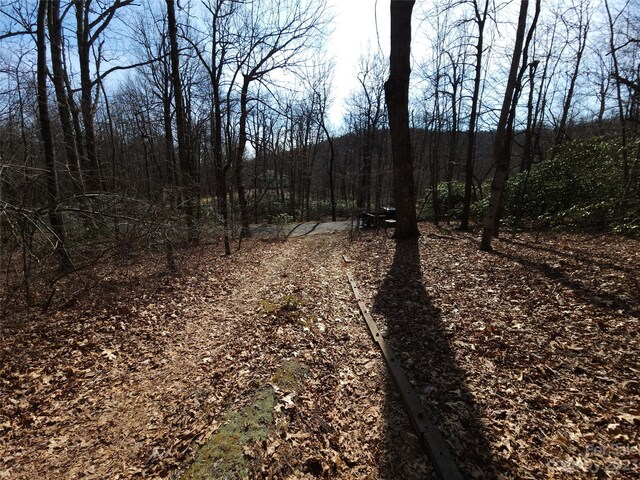 LOT77 Three Bridges Dr, Columbus, NC 28722 - photo 17