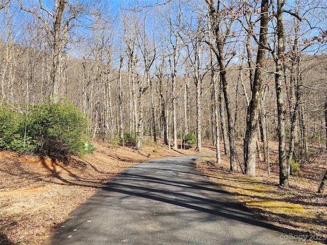 LOT77 Three Bridges Dr, Columbus, NC 28722 - photo 18