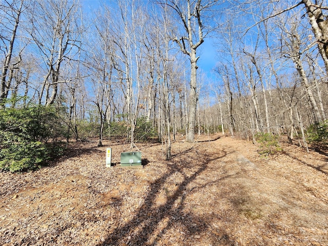 LOT77 Three Bridges Dr, Columbus, NC 28722 - photo 19