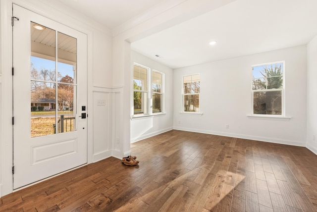 foyer featuring dark hardwood / wood-style flooring and a wealth of natural light