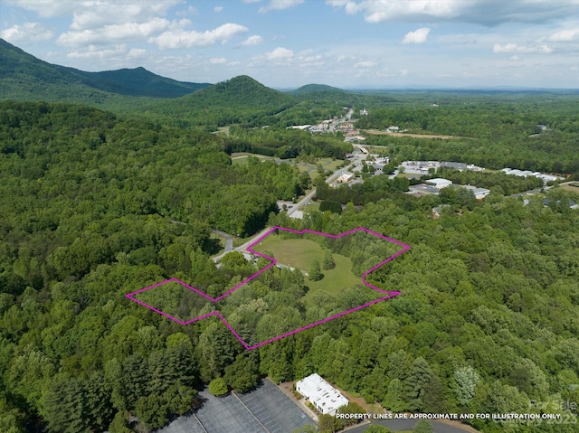 899 W Mills St, Columbus, NC 28722 - photo 4