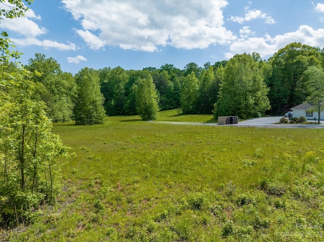 899 W Mills St, Columbus, NC 28722 - photo 7