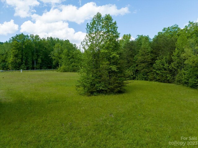 899 W Mills St, Columbus, NC 28722 - photo 8