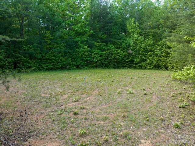 899 W Mills St, Columbus, NC 28722 - photo 14