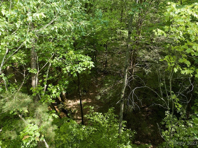 899 W Mills St, Columbus, NC 28722 - photo 20