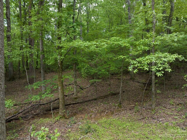 899 W Mills St, Columbus, NC 28722 - photo 21