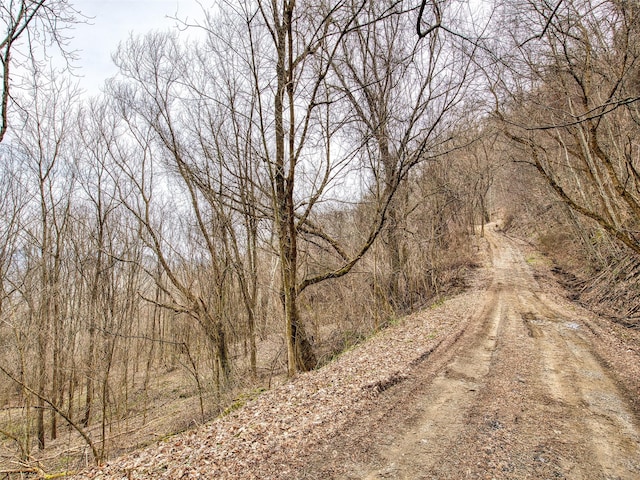 Listing photo 2 for LOT4 Lothlorian Rd, Waynesville NC 28786