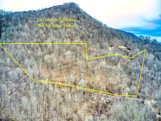 LOT11 Lothlorian Rd, Waynesville NC, 28786 land for sale