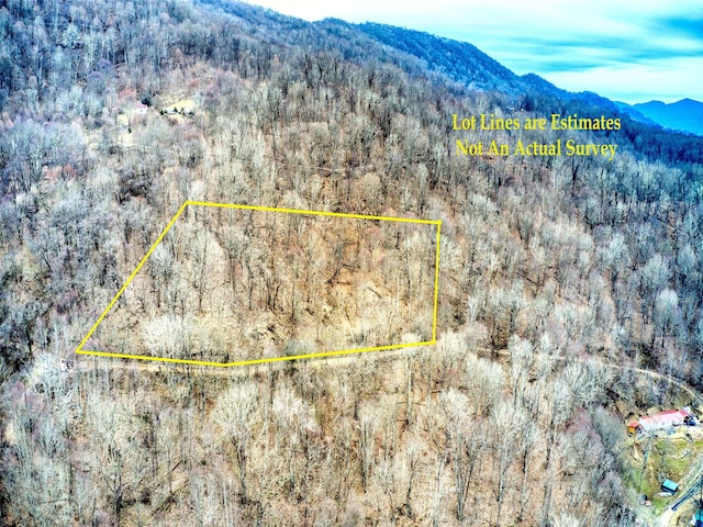 LOT12 Lothlorian Rd, Waynesville NC, 28786 land for sale