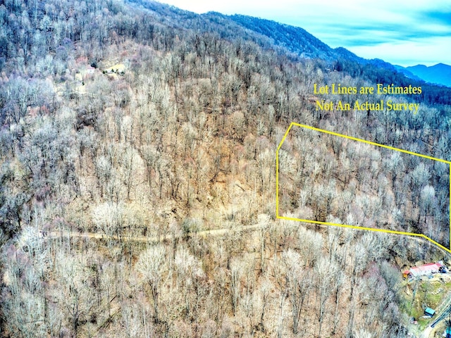 LOT13 Lothlorian Rd, Waynesville NC, 28786 land for sale