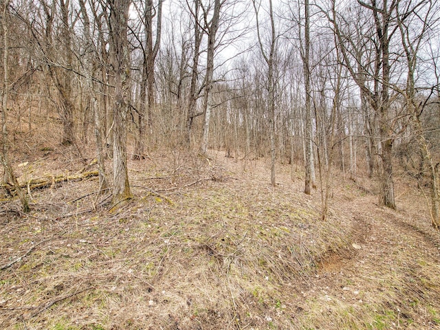 Listing photo 3 for LOT13 Lothlorian Rd, Waynesville NC 28786