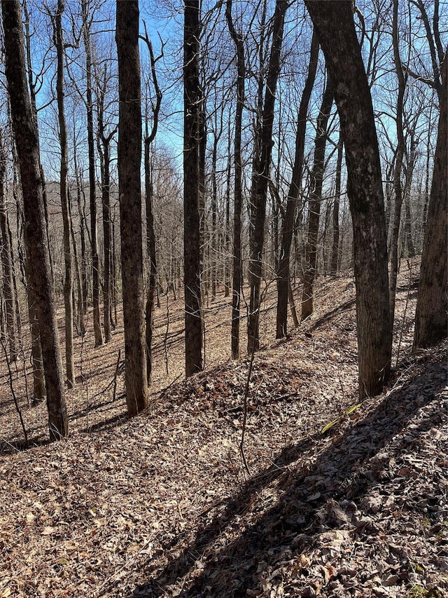 0 Sunset Ridge Rd Unit 12, Columbus, NC 28722 - photo 2
