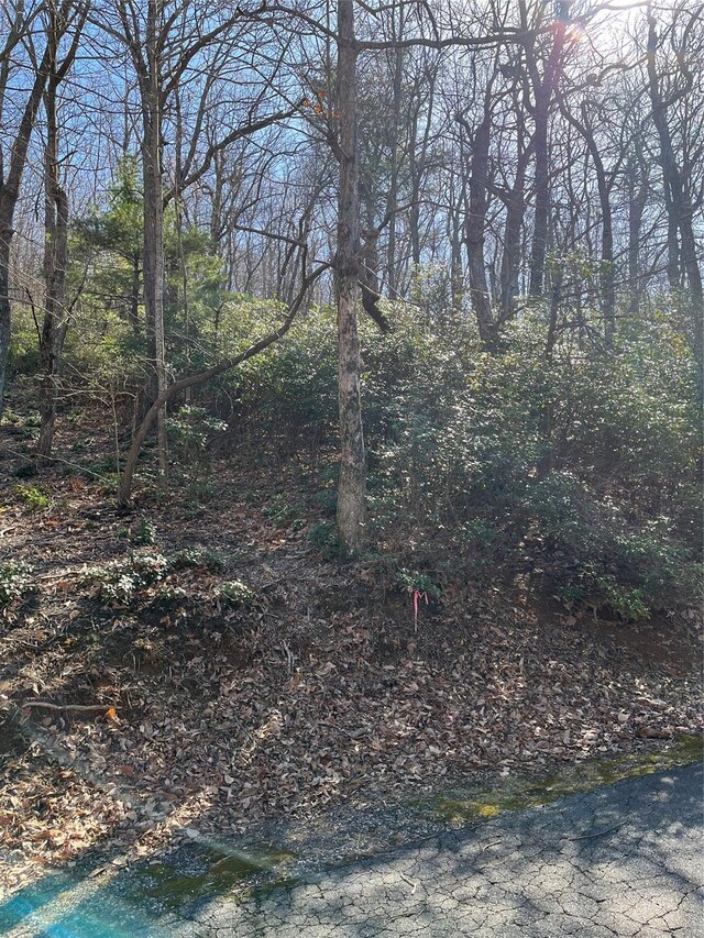 000 Serpentine Dr Unit 70, Columbus, NC 28722 - photo 1