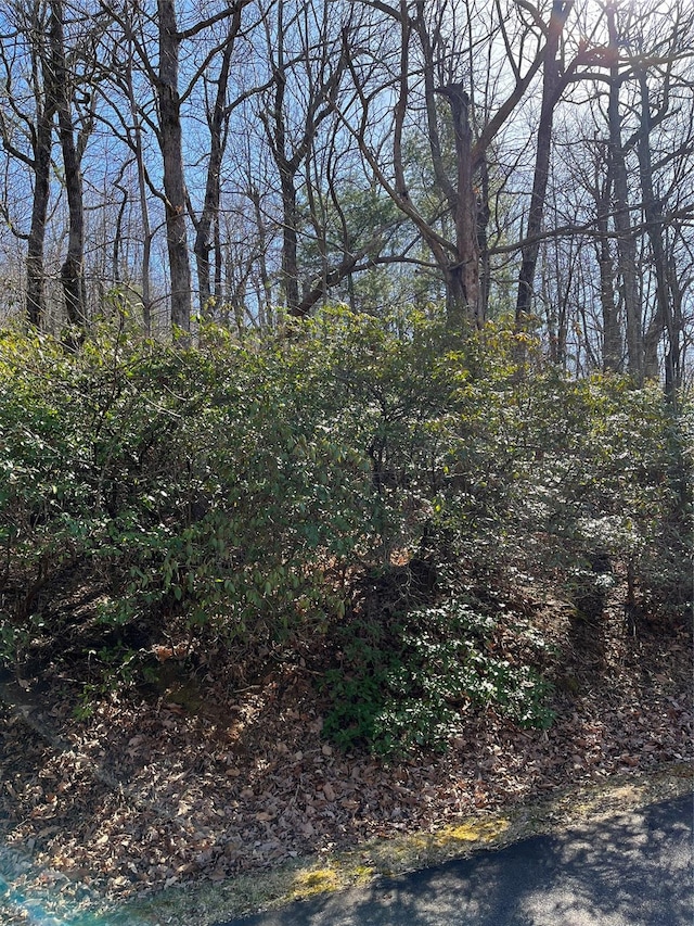 000 Serpentine Dr Unit 70, Columbus, NC 28722 - photo 3