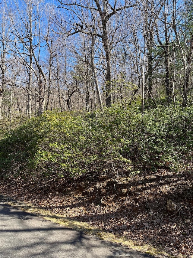 000 Serpentine Dr Unit 70, Columbus, NC 28722 - photo 4