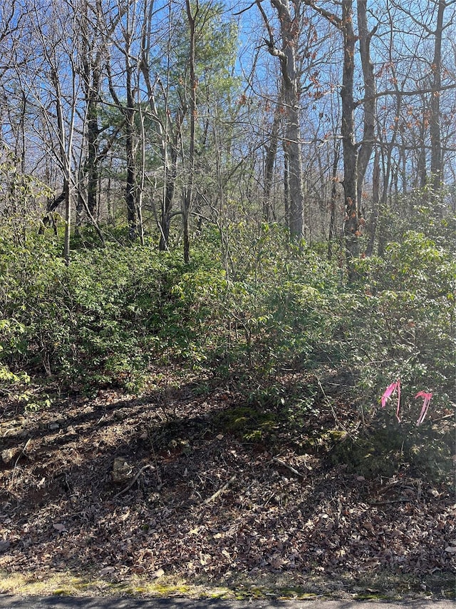 000 Serpentine Dr Unit 70, Columbus, NC 28722 - photo 5