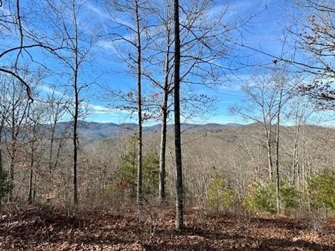 305 Raccoon Run Unit 25, Marshall NC, 28753 land for sale