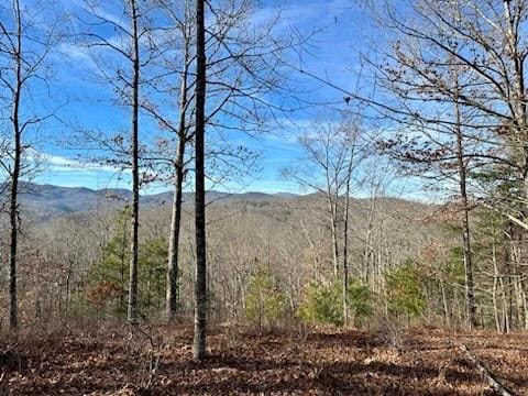 Listing photo 2 for 305 Raccoon Run Unit 25, Marshall NC 28753