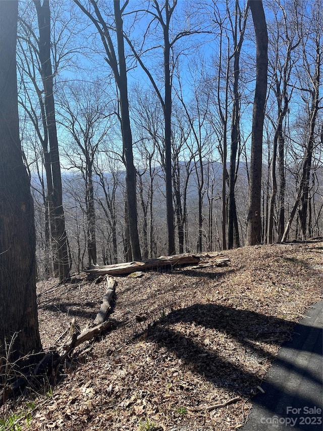 999 Skyuka Mountain Road Portion Of Lot 9, Columbus, NC 28722 - photo 1