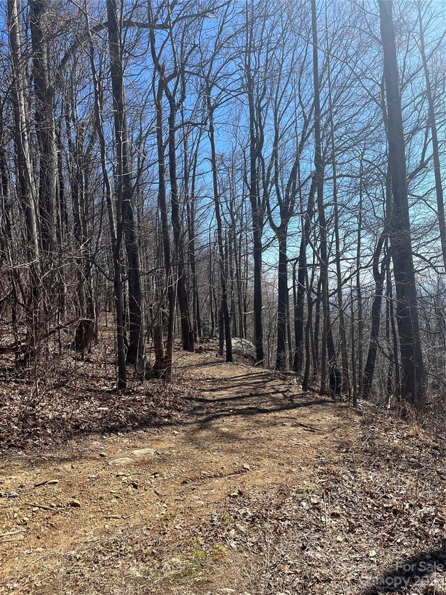 999 Skyuka Mountain Road Portion Of Lot 9, Columbus, NC 28722 - photo 2
