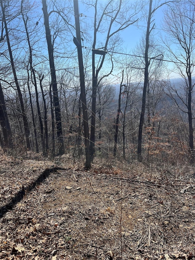 999 Skyuka Mountain Road Portion Of Lot 9, Columbus, NC 28722 - photo 3