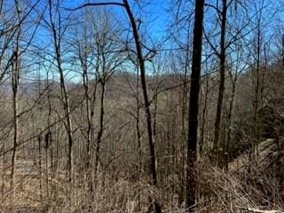 Listing photo 3 for 975 Asgi Trl Unit C31, Maggie Valley NC 28751