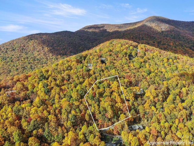 Listing photo 2 for 26 Great Aspen Way, Black Mountain NC 28711