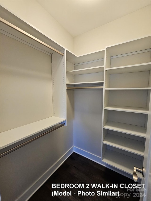 walk in closet with dark hardwood / wood-style flooring