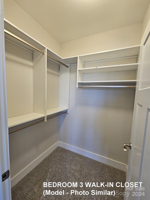 walk in closet featuring carpet flooring