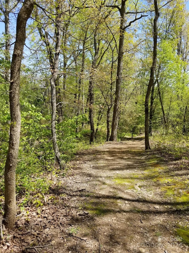 view of local wilderness