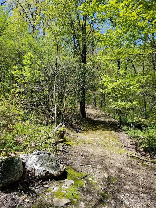 view of landscape