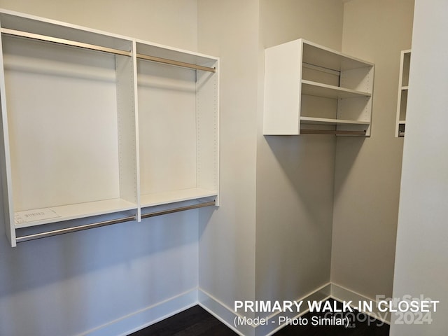 spacious closet featuring dark hardwood / wood-style floors