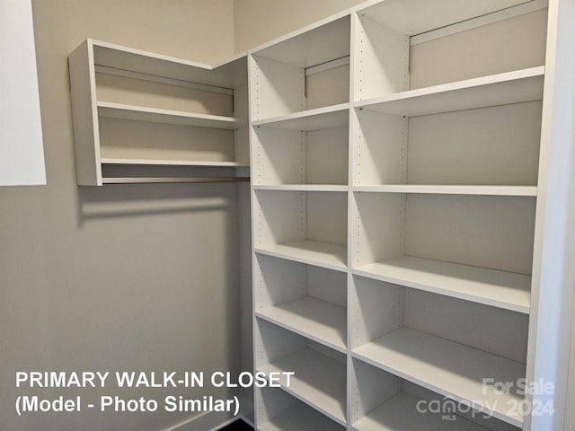 view of walk in closet