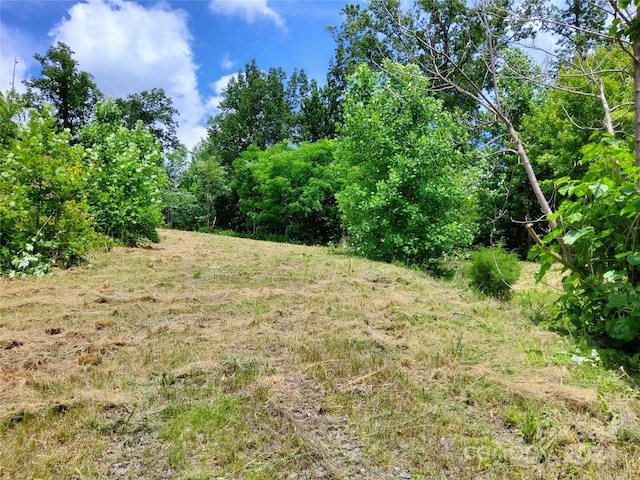 0 Bear Cliff Way Unit 14, Lake Lure NC, 28746 land for sale