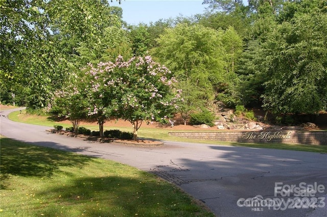 Listing photo 3 for 0 Bear Cliff Way Unit 14, Lake Lure NC 28746