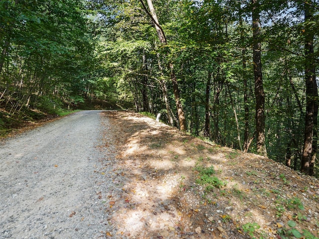 Listing photo 3 for LOT23 Miller Mountain Rd, Saluda NC 28773