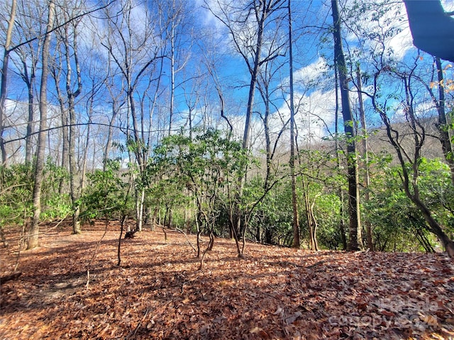 Listing photo 2 for TBD Skye Dr Unit 803A & 803B, Pisgah Forest NC 28768