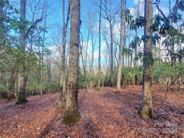 Listing photo 3 for TBD Skye Dr Unit 803A & 803B, Pisgah Forest NC 28768