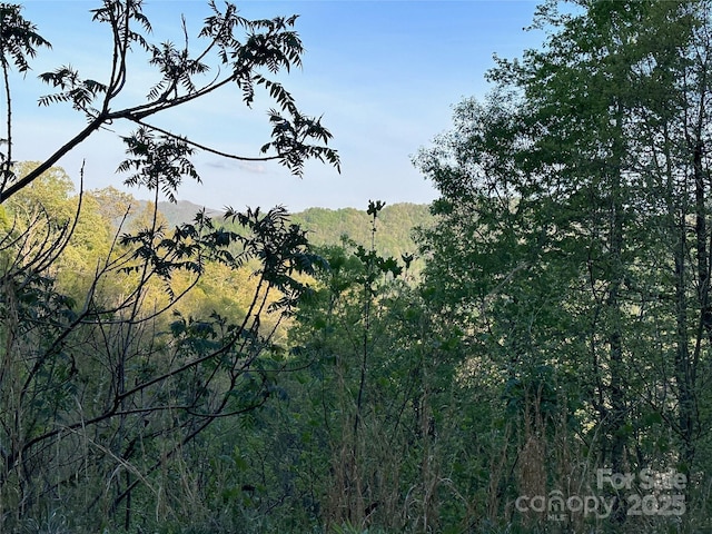 Listing photo 2 for 936 Sunnyside Dr Lot 27, Marshall NC 28753