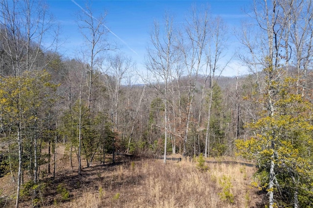 Listing photo 3 for 00 River Club Dr Unit 67, Cullowhee NC 28723