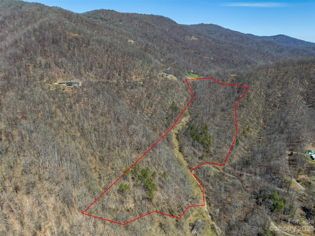 99999 Whisper Mountain Dr Unit 63-65, Leicester NC, 28748 land for sale