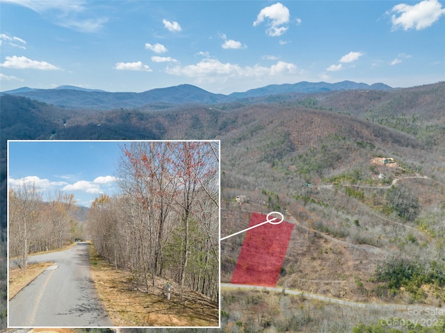 458 Feather Falls Trl, Black Mountain NC, 28711 land for sale