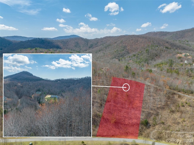 Listing photo 3 for 458 Feather Falls Trl, Black Mountain NC 28711