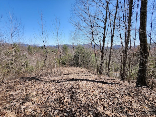 435 Pine Cone Trl, Marshall NC, 28753 land for sale