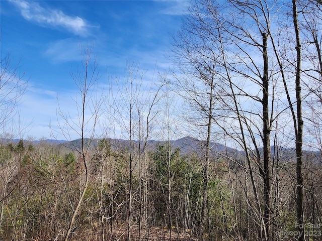 Listing photo 3 for 435 Pine Cone Trl, Marshall NC 28753