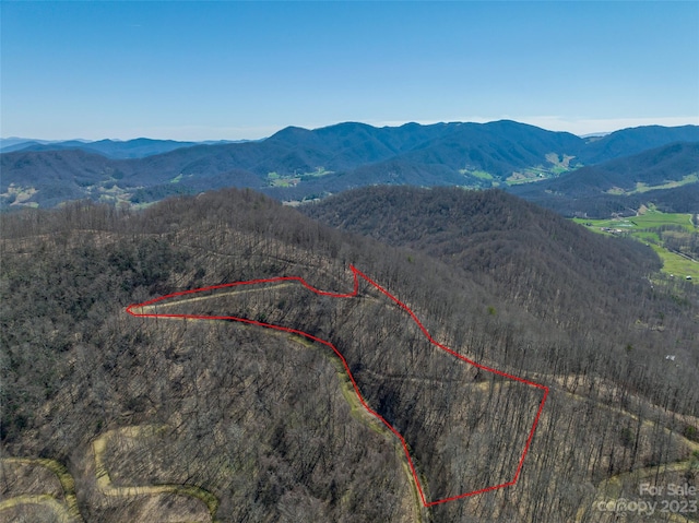 99999 Whisper Mountain Dr Unit 66-67, Leicester NC, 28748 land for sale