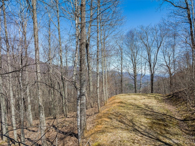 Listing photo 2 for 99999 Whisper Mountain Dr Unit 66-67, Leicester NC 28748